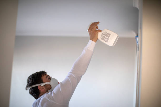 Best Mold Cleaning Services  in East Riverdale, MD
