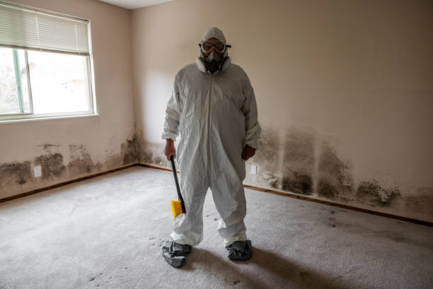 Best Crawl Space Mold Removal  in East Riverdale, MD